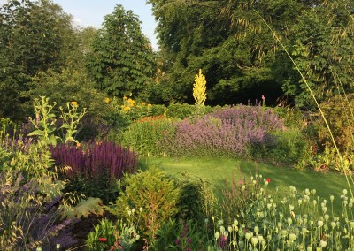 Jane's garden in July